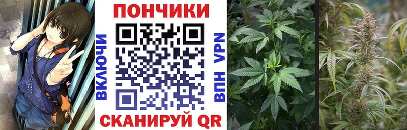 ссылка на мегу tor Усолье МАРИХУАНА Bruce Banner